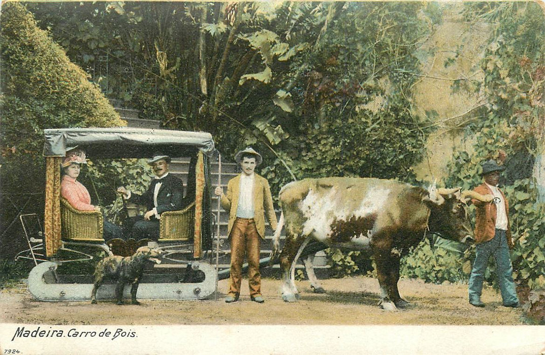 Madeira Carro de Bois