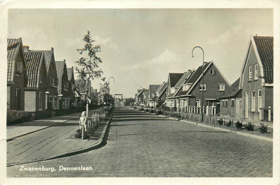 Zwanenburg Dennenlaan