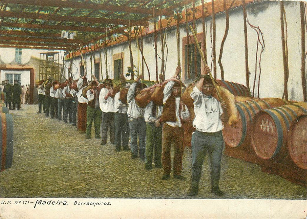 Madeira Borracheiros