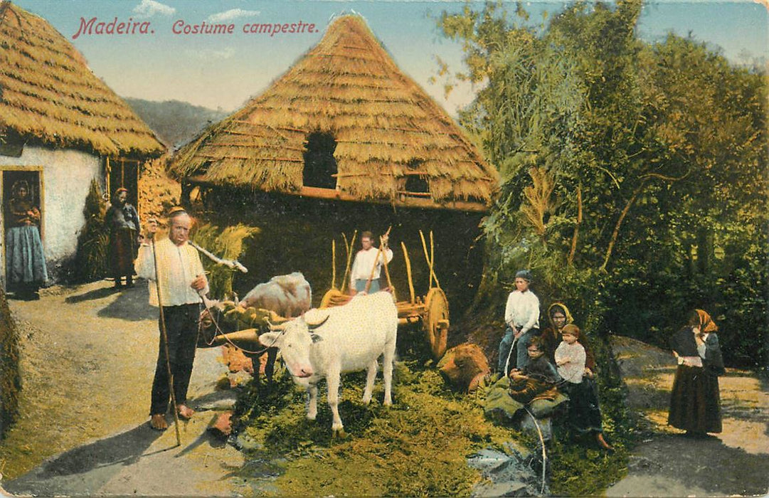 Madeira Costume Campestre