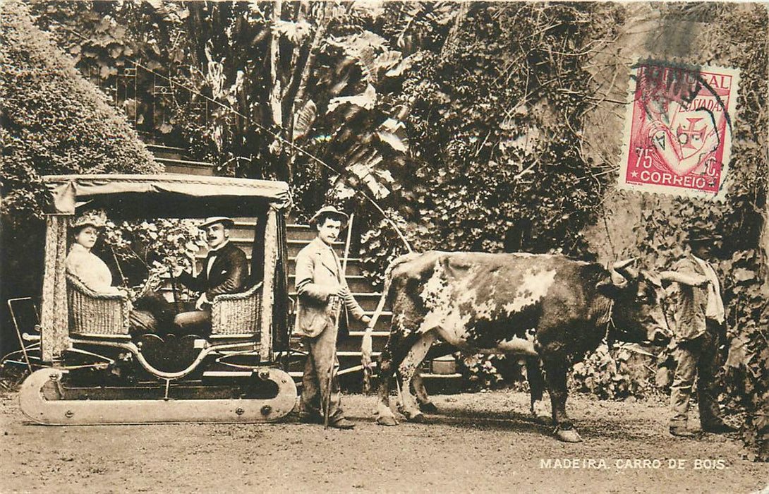 Madeira Carro de Bois