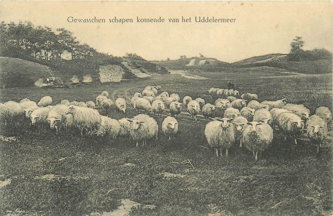 Uddelermeer