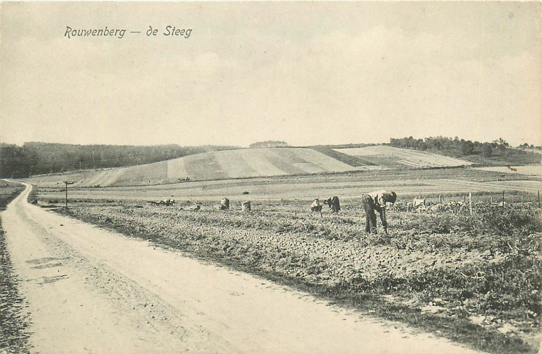 De Steeg Rouwenberg