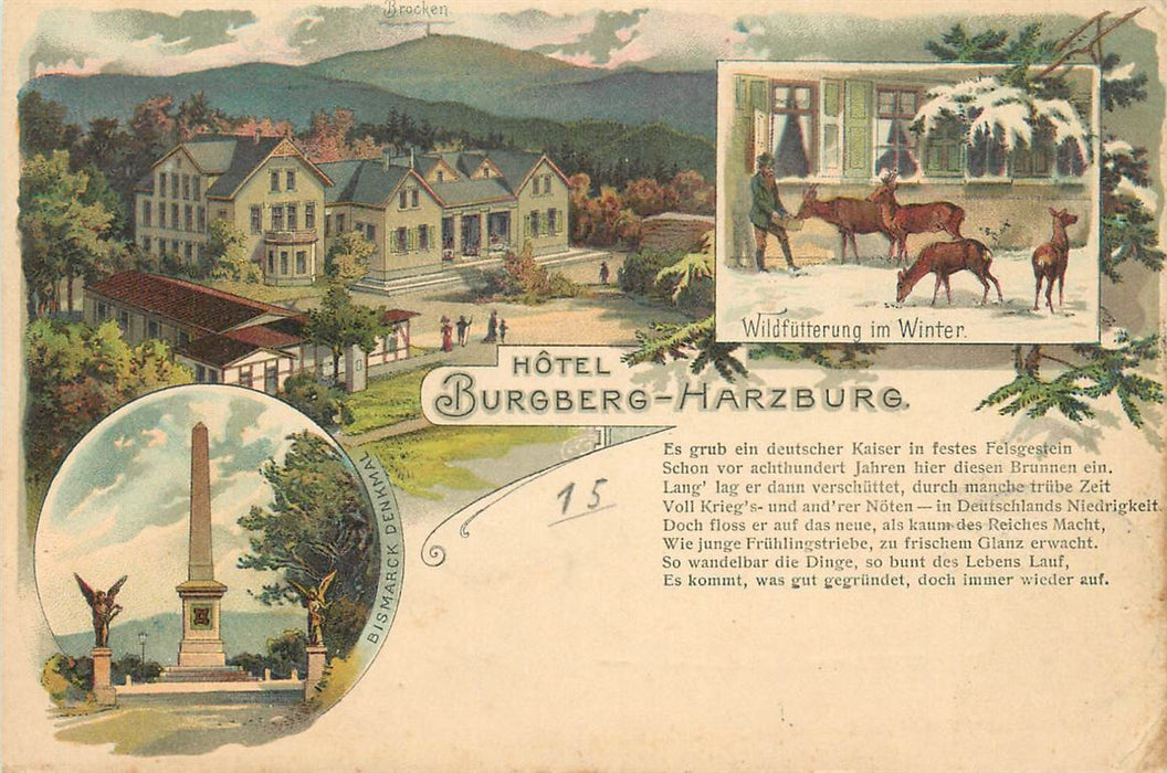 Harzburg Hotel Burgberg