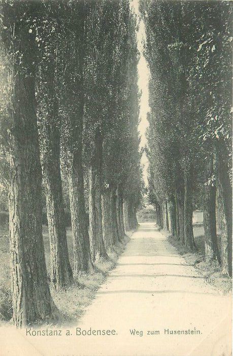 Konstanz Weg zum Husenstein