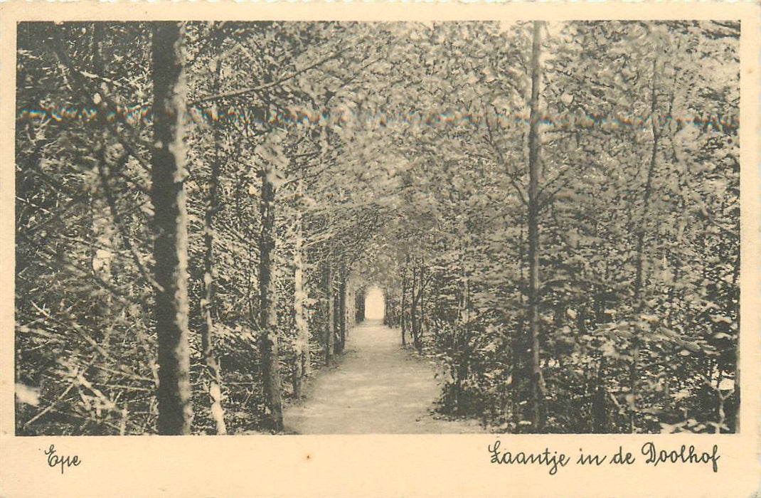 Epe Laantje in de Doolhof