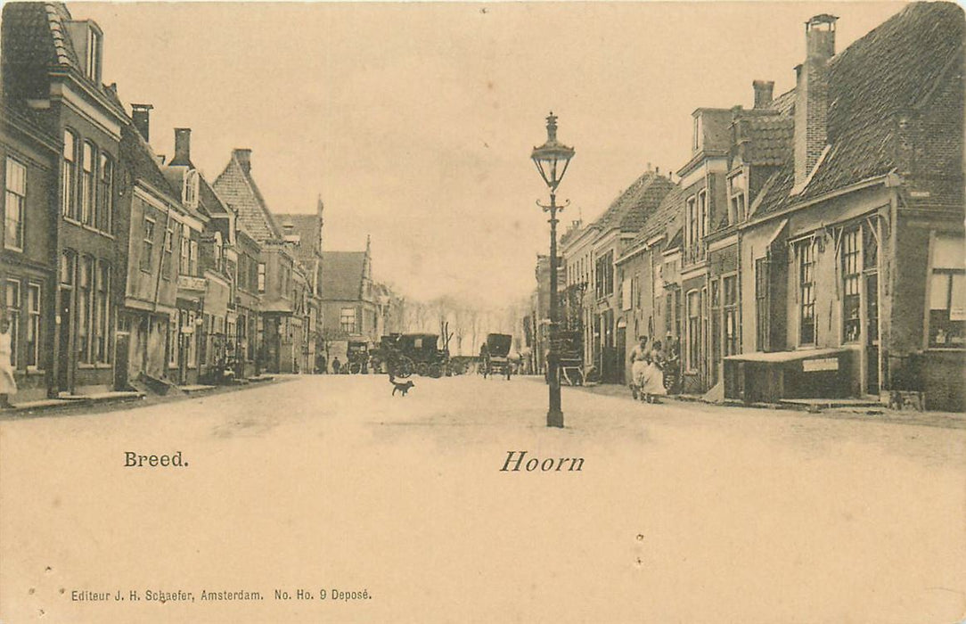 Hoorn Breed