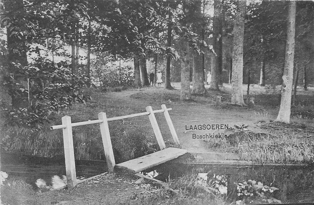 Laag Soeren Boschkiekje