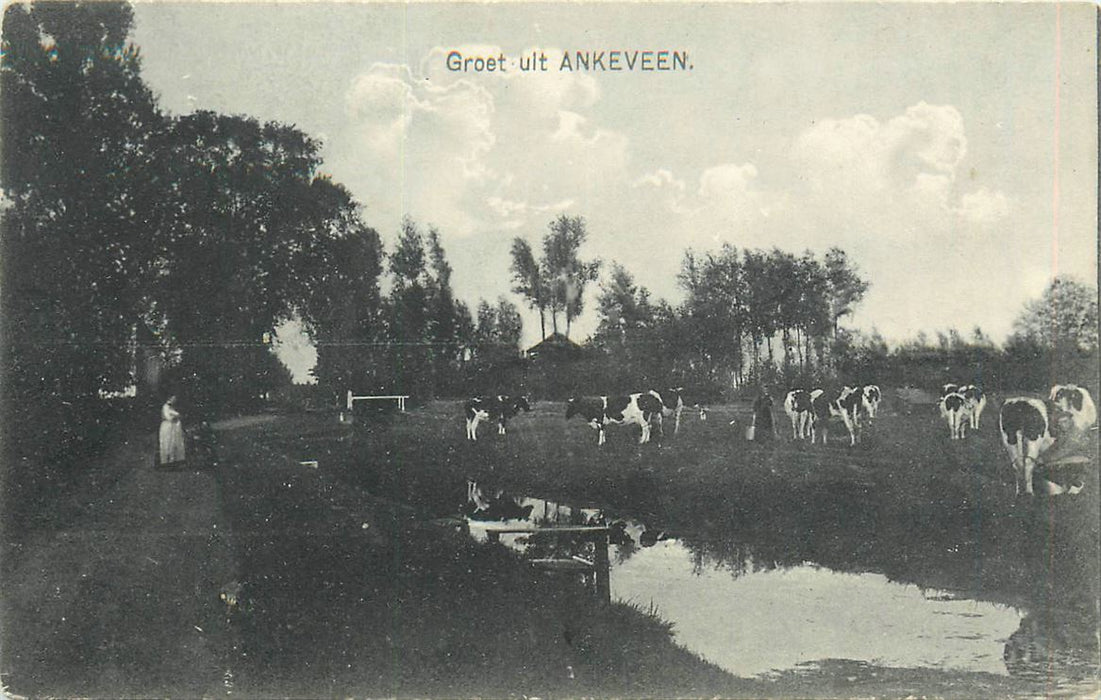 Ankeveen