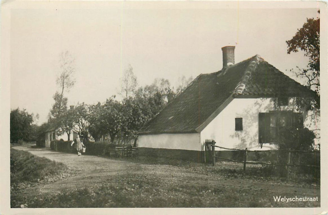 Dodewaard Welyschestraat