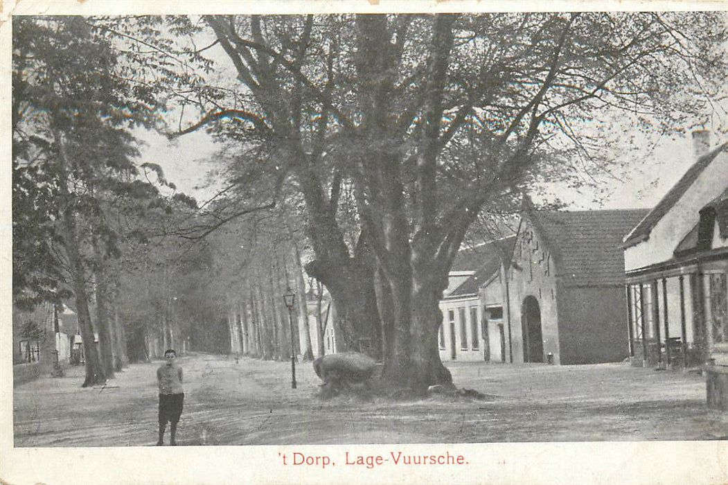 Lage Vuursche