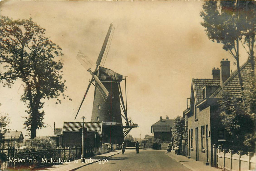 Terbregge Molen Molenlaan