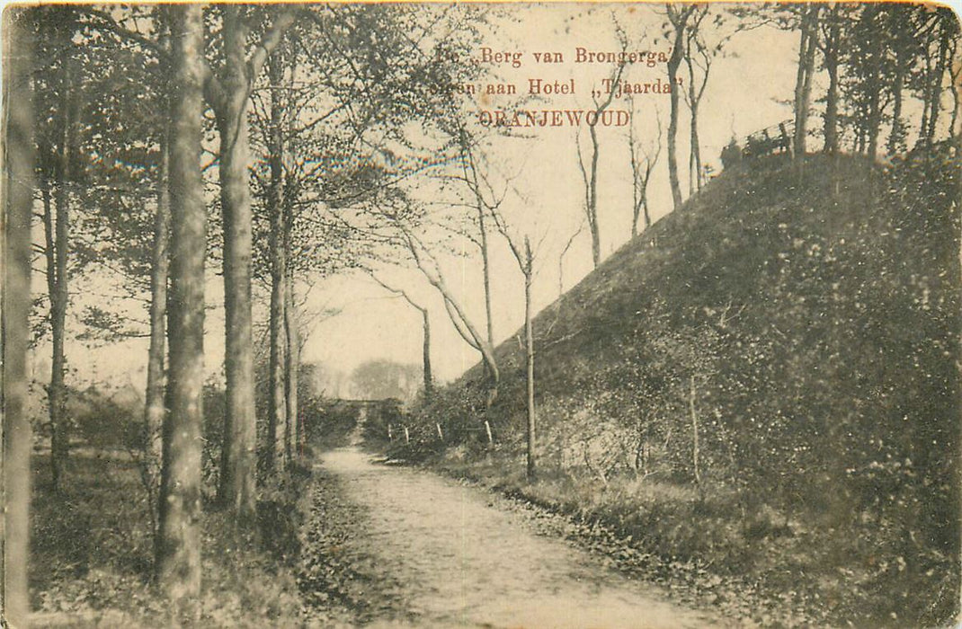 Oranjewoud Berg van Brongerga