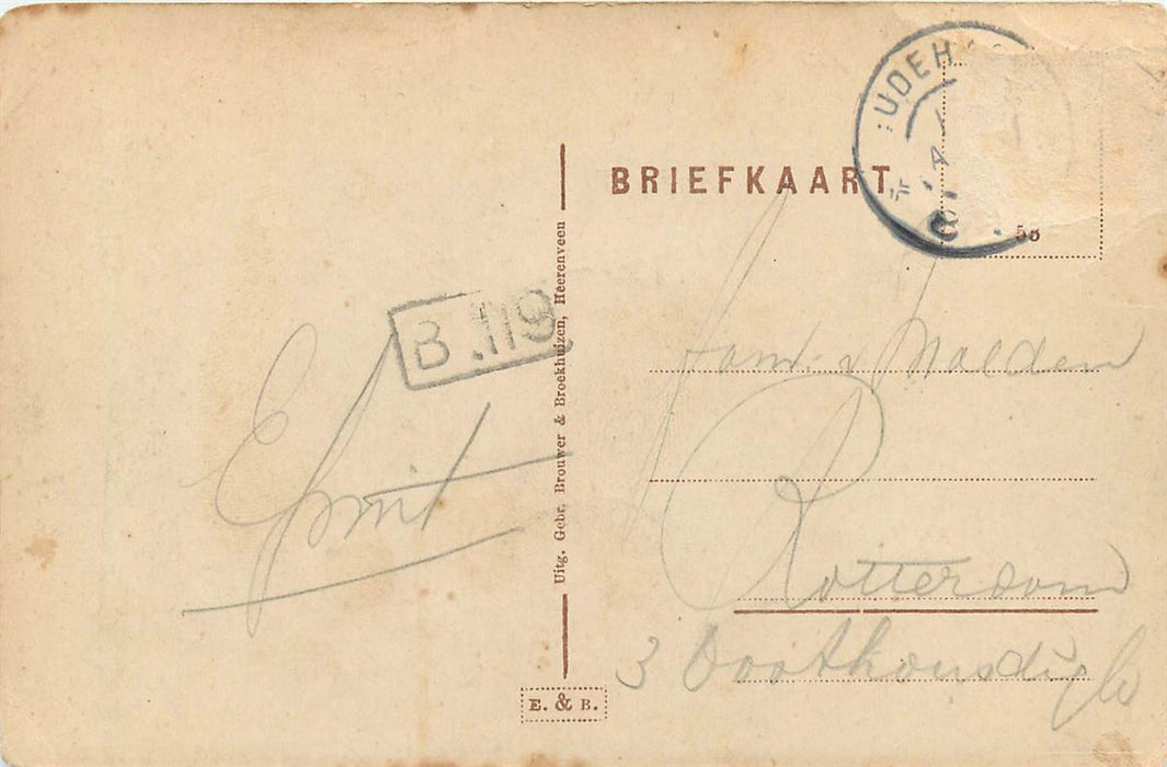 Oranjewoud Berg van Brongerga