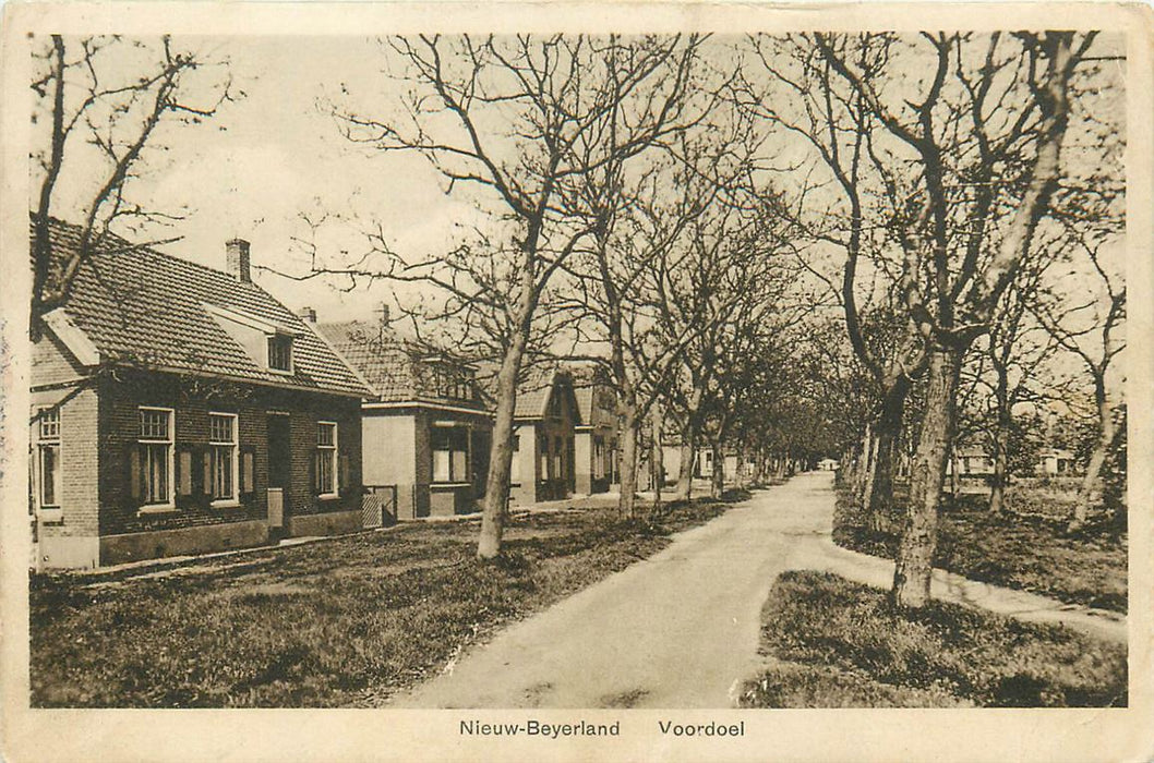 Nieuw Beijerland Voordoel