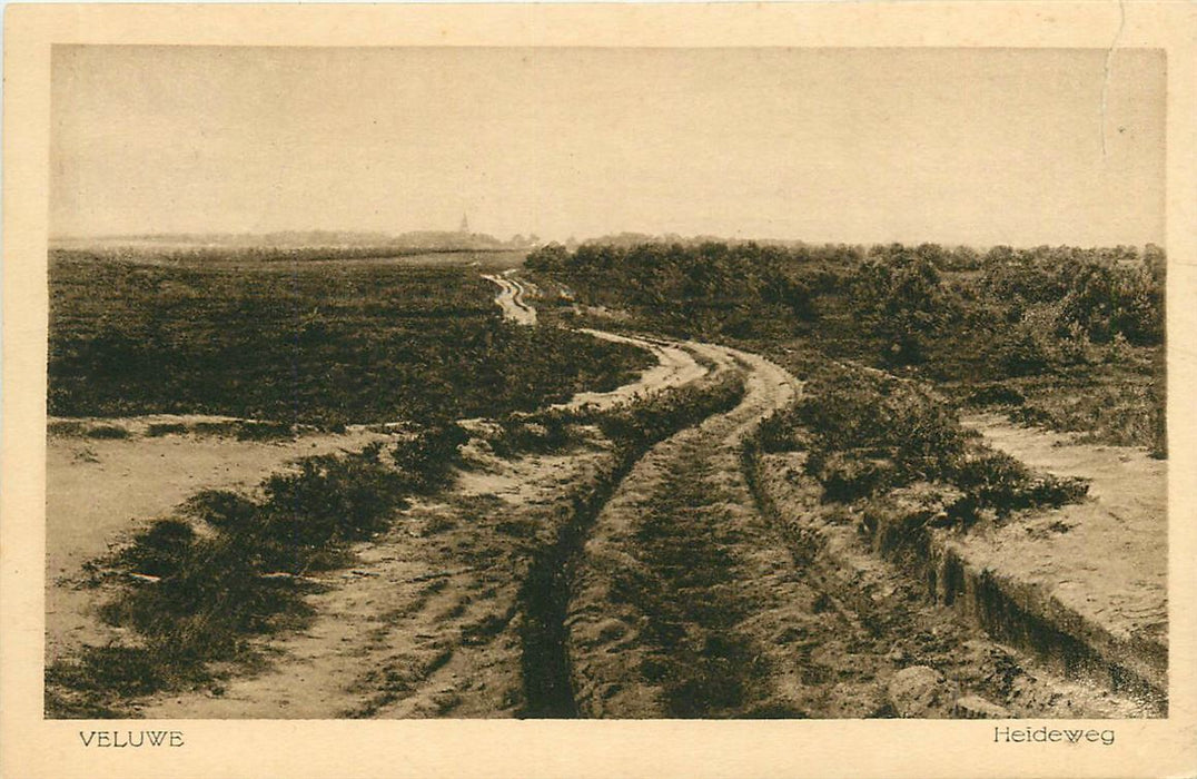 Veluwe Heideweg