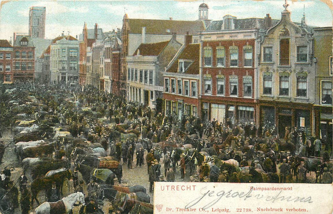 Utrecht Palmpaardenmarkt