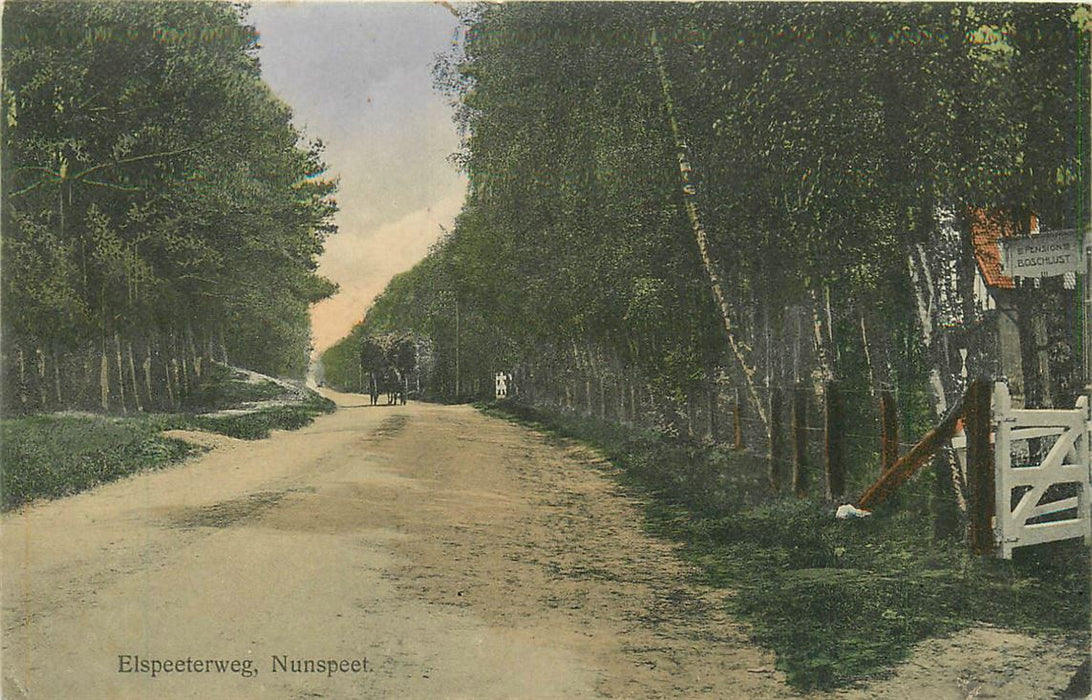 Nunspeet Elspeeterweg