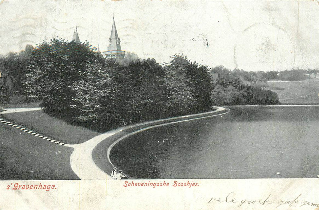 Den Haag Scheveningsche Boschjes
