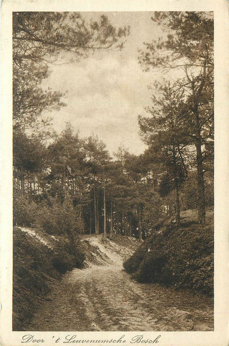 Leuvenum