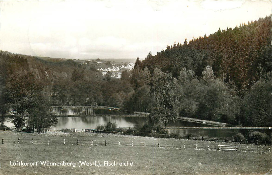 Wunnenberg  Fischteiche