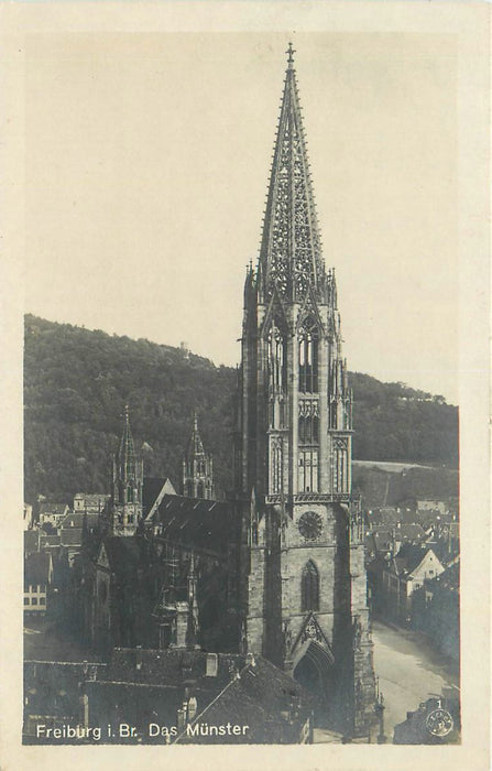 Freiburg i B Munster
