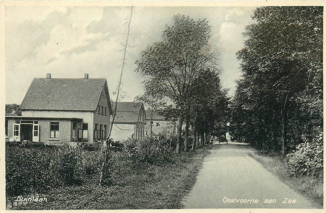 Oostvoorne Duinlaan