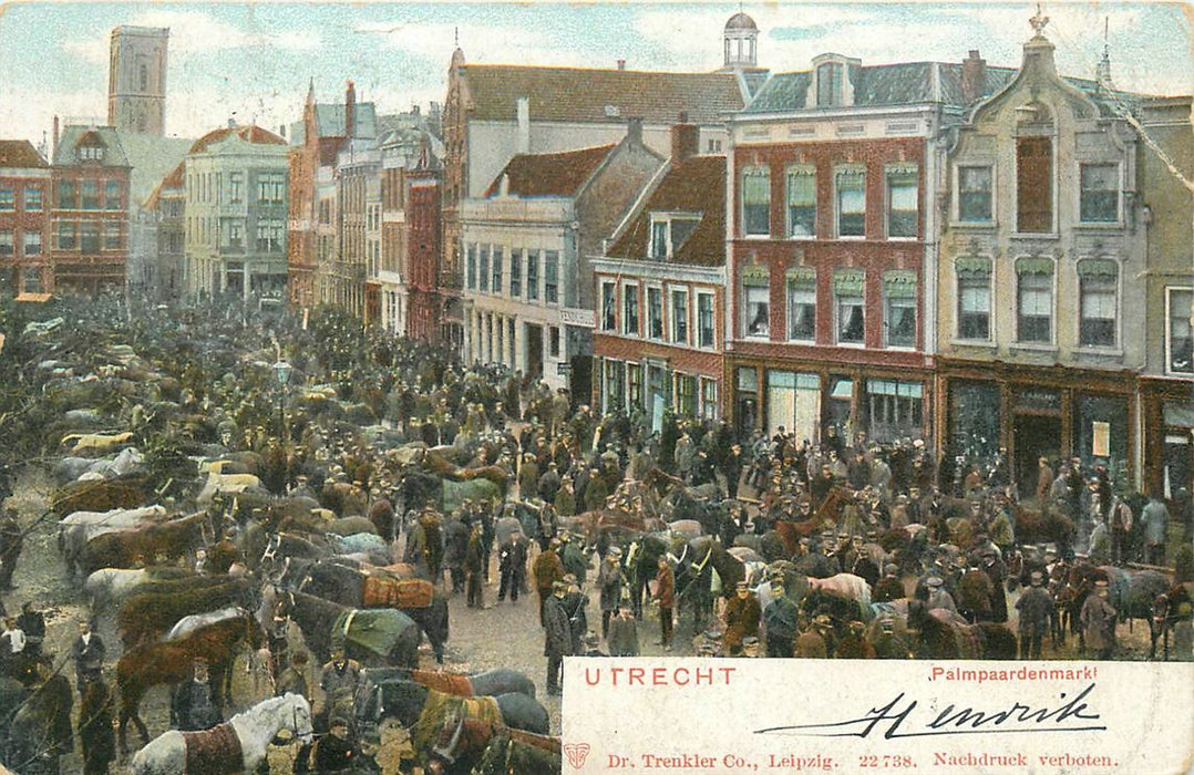 Utrecht Palmpaardenmarkt