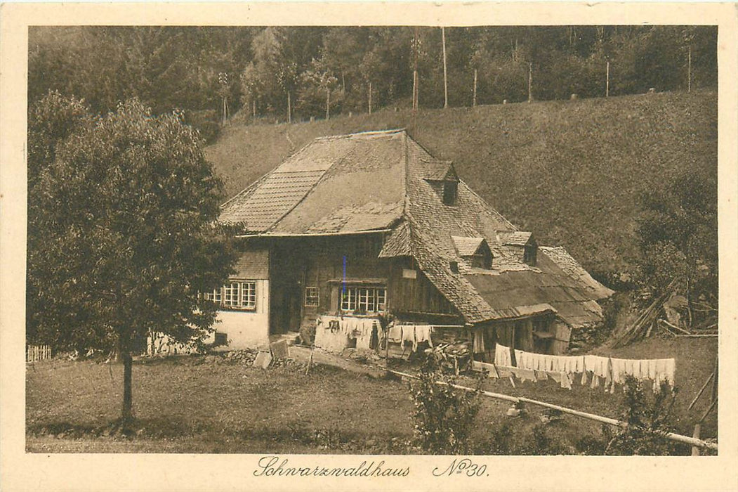Schwarzwaldhaus