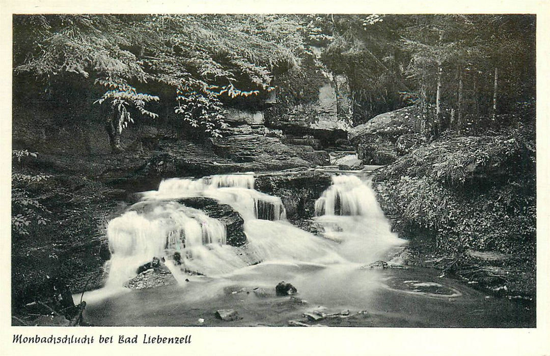 Bad Liebenzell Monbachschlucht