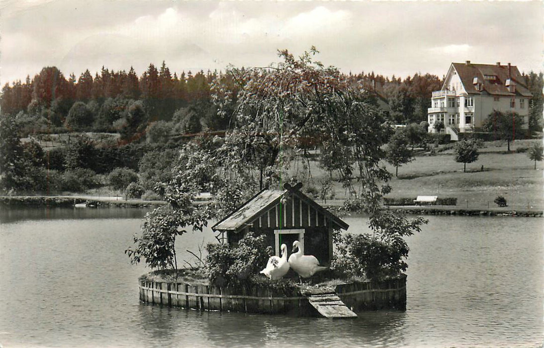 Hahnenklee Schwanenteich