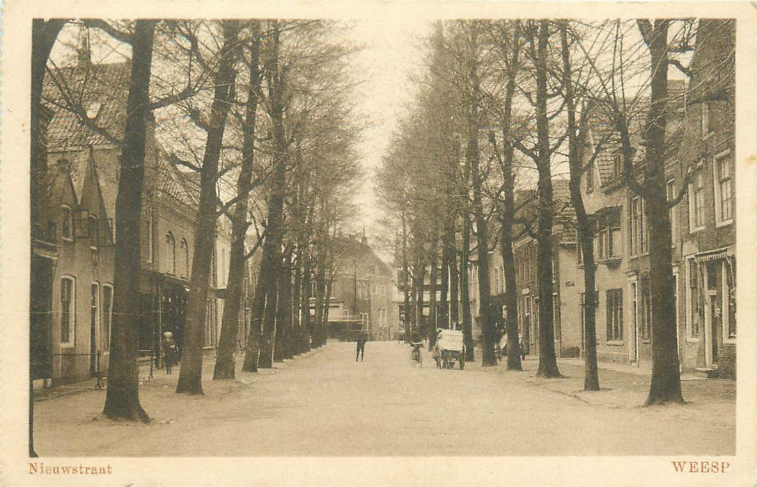 Weesp Nieuwstraat