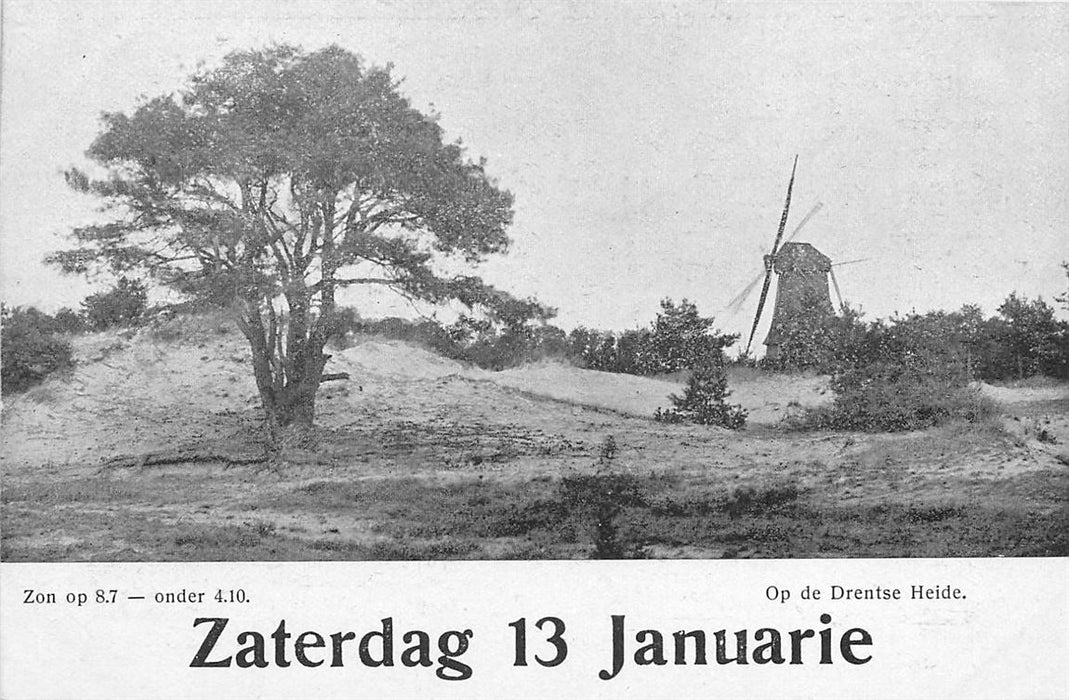 Op de Drentse Heide
