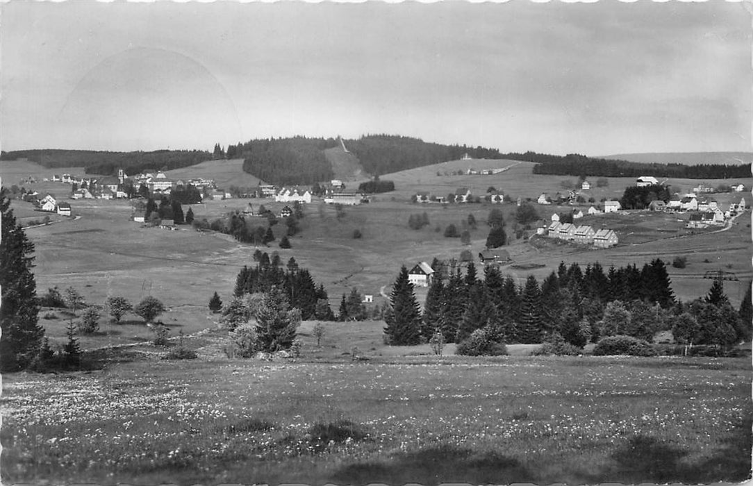 Schonwald Schwarzwald