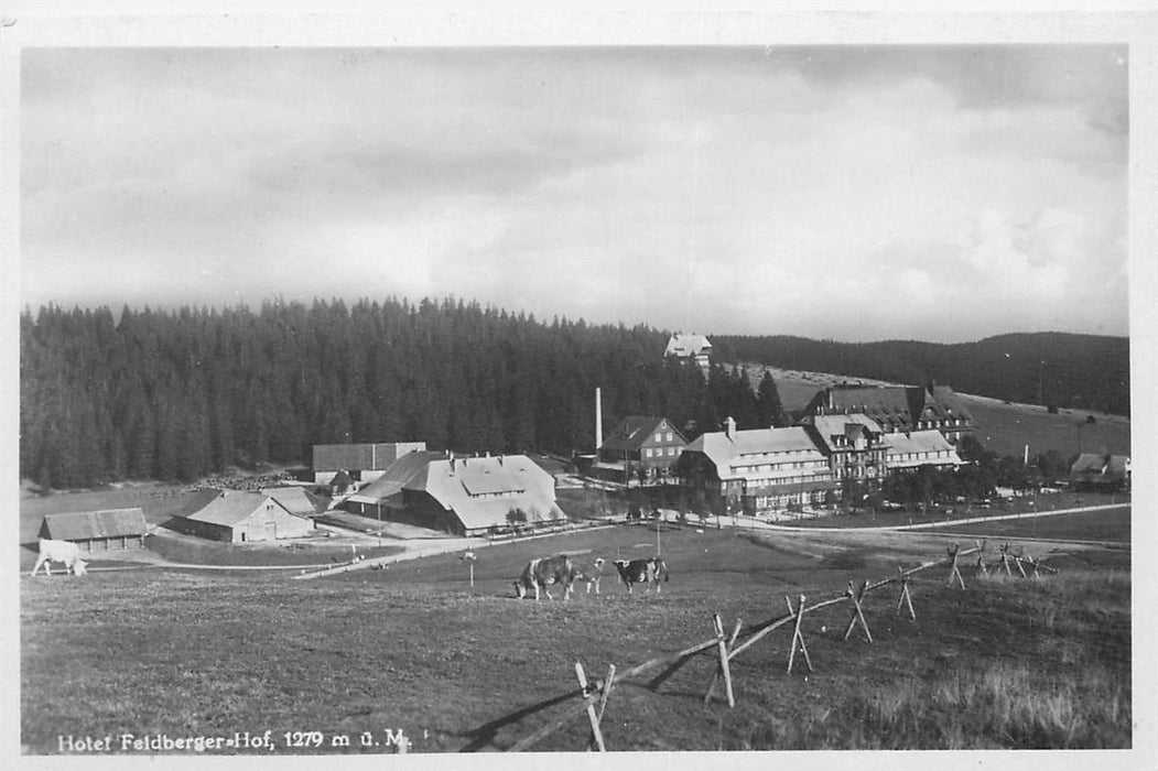 Feldberg Schwarzwald Hotel