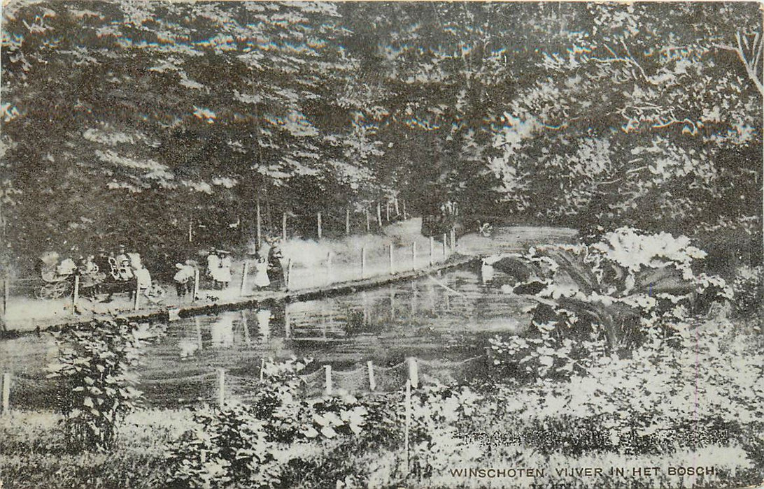 Winschoten Vijver in het Bosch