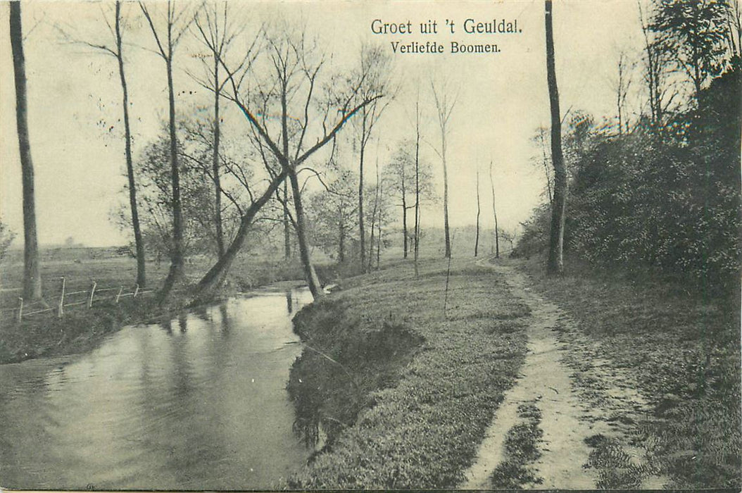 Geuldal Verliefde Boomen