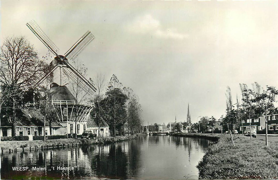 Weep Molen t Haantje