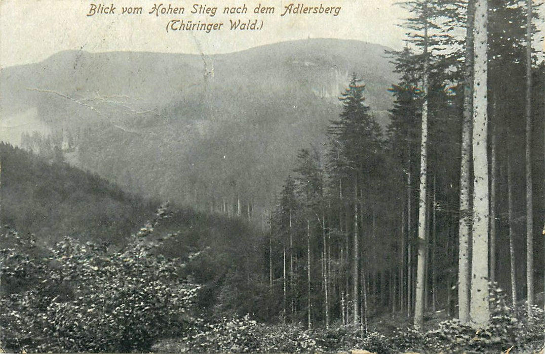 Adlersberg (Thüringer Wald)