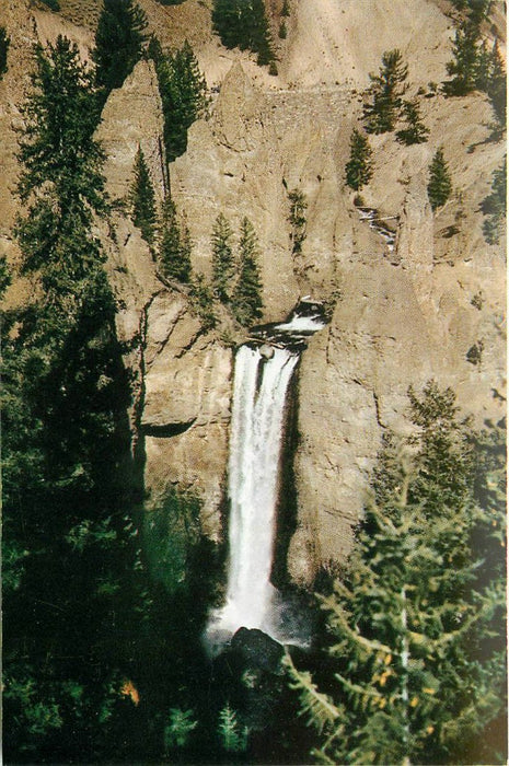 Yellowstone NP WY