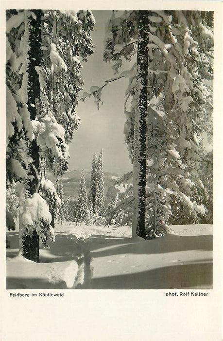 Feldberg im Köpflewald