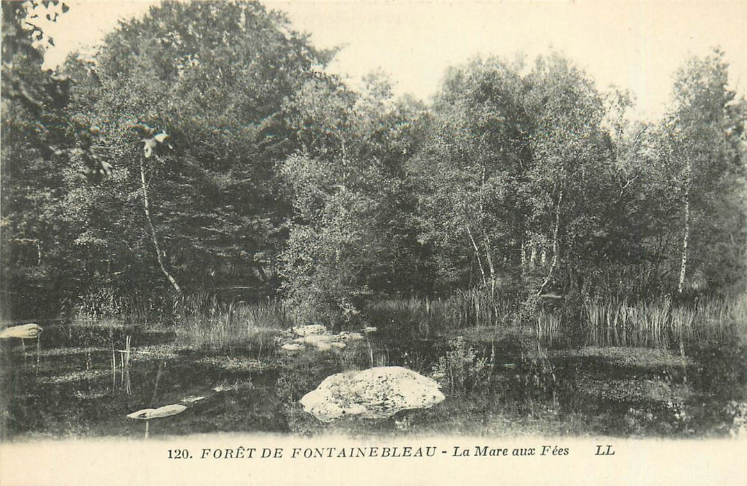 Fontainebleau Foret