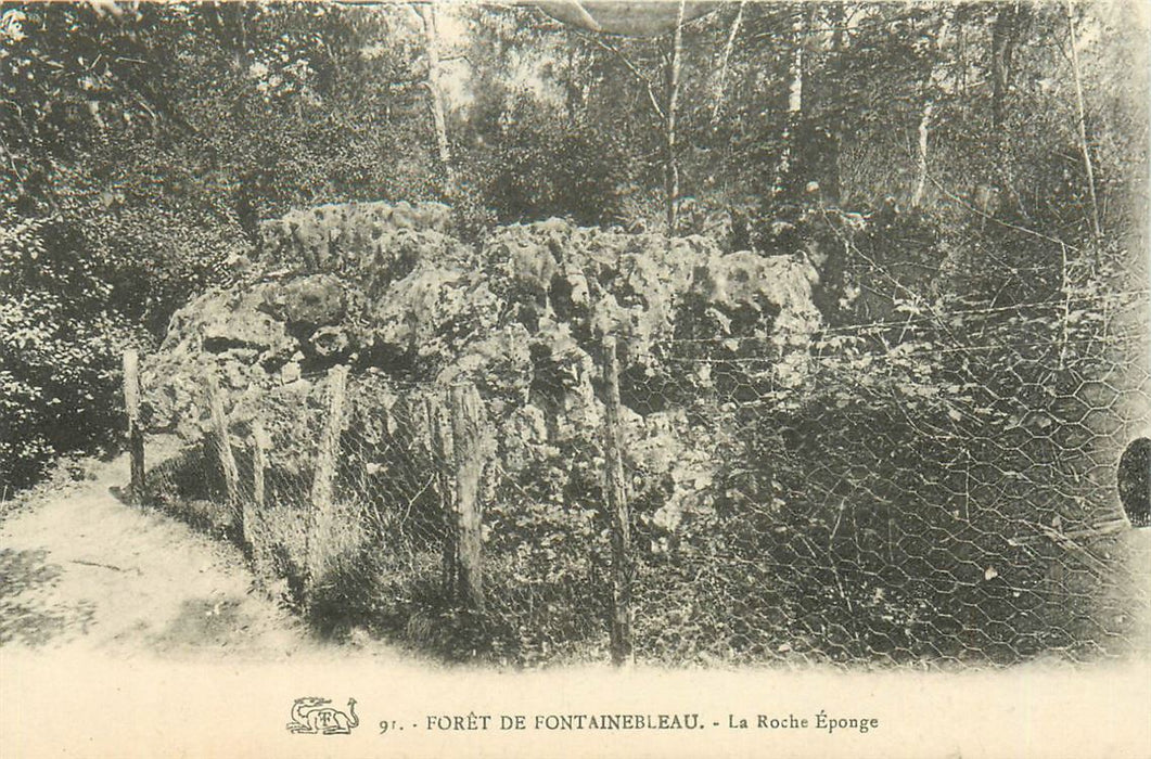 Fontainebleau Foret