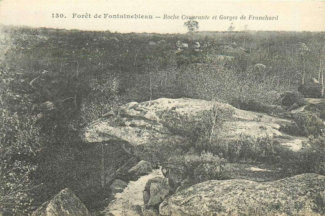 Fontainebleau Foret