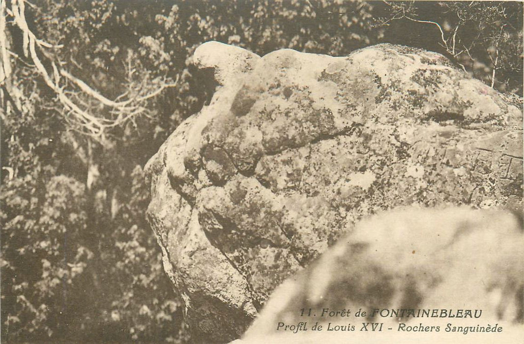 Fontainebleau Foret