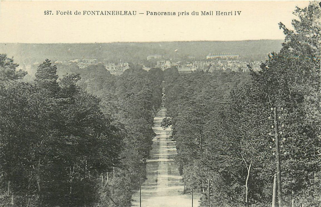 Fontainebleau Foret