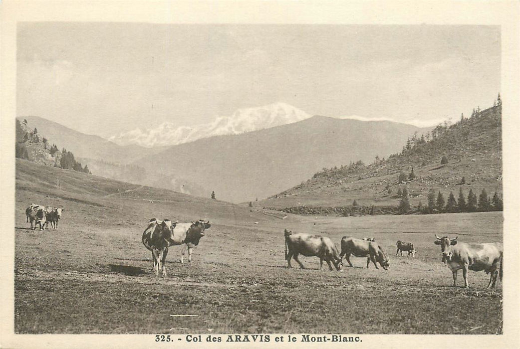 Col des Aravis