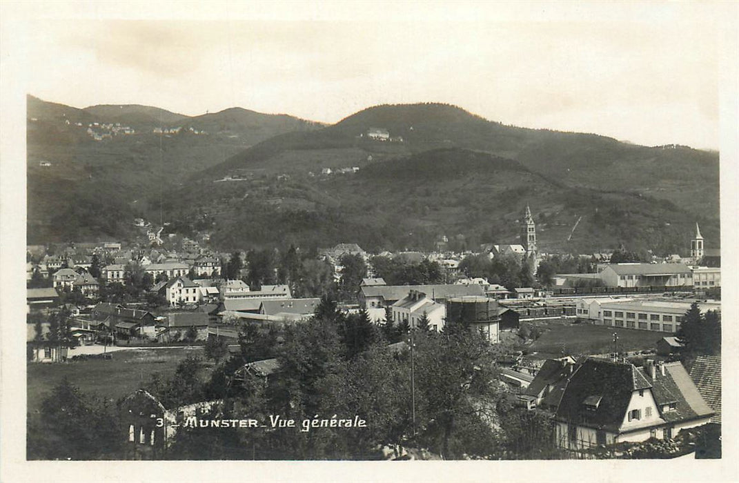 Munster