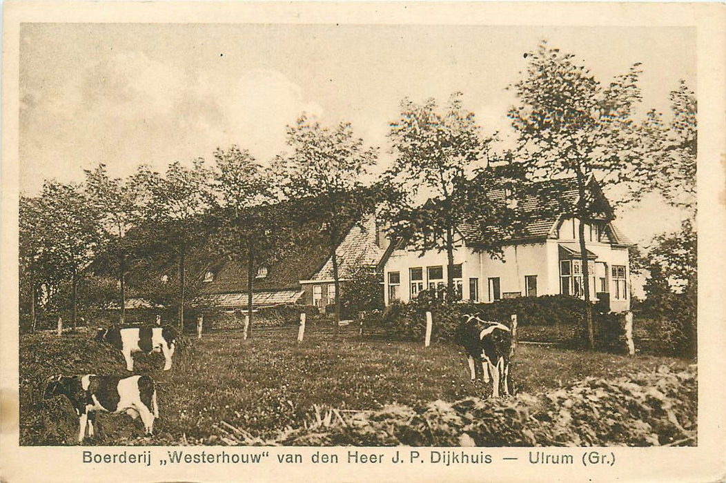 Ulrum Westerhouw Dijkhuis