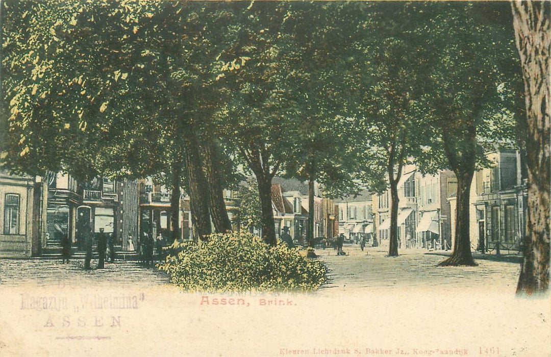 Assen Brink